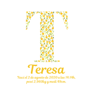 Inicial de flores #27