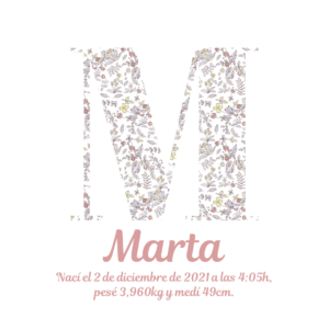 Inicial de flores #26